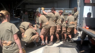 Další tři klisny koně Převalského odletěly do Mongolska 