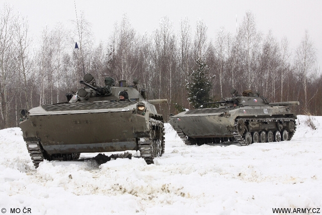BMP-2 (2)