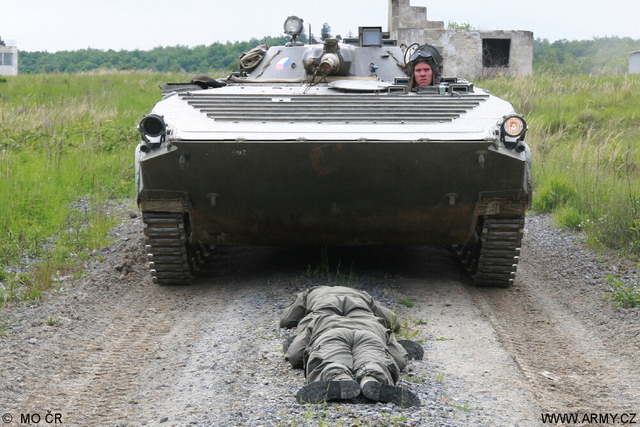BMP-2 (8)