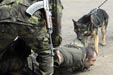 Brigáda rychlého nasazení má i družstvo psovodů 8