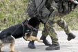Brigáda rychlého nasazení má i družstvo psovodů 4