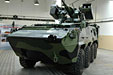 Pandur II 8x8 in Czech Camouflage Paint - 1