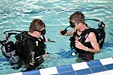 Swimming and Diving 1