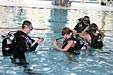 Swimming and Diving 2