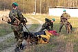 Training with Dogs 4