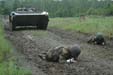 Under Tanks and APCs 5