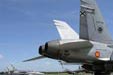 Tail of F-18 and L-159 ALCA and F-15 aircraft in the rear