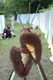 Rožnovská valaška 2006 9